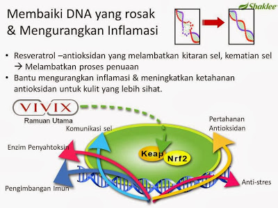 Resveratrol