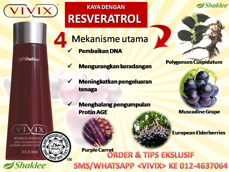 Vivix, Resveratrol, Mekanisme Resveratrol Muscadine Grape, Anggur Muscadine