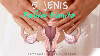 uterus
