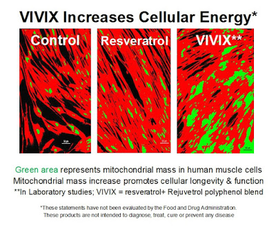 biogenesis mitokondria peningkatan cellular energy
