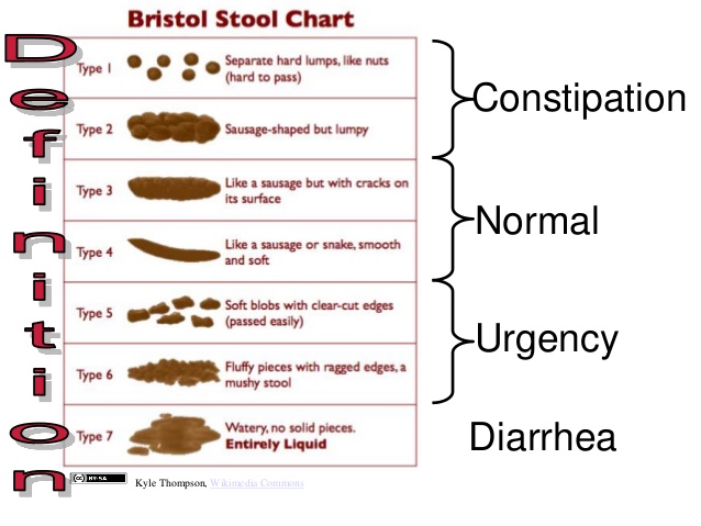 Bristol Stool chart constipation sembelit