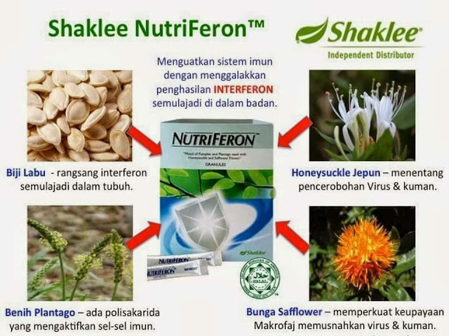 khasiat biji labu di dalam Nutriferon
