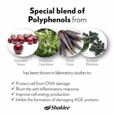 Polyphenol dan oxidative stress