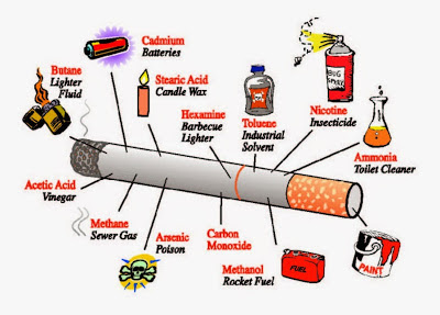 kandungan sebatang rokok