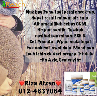 set mengandung prenatal shaklee