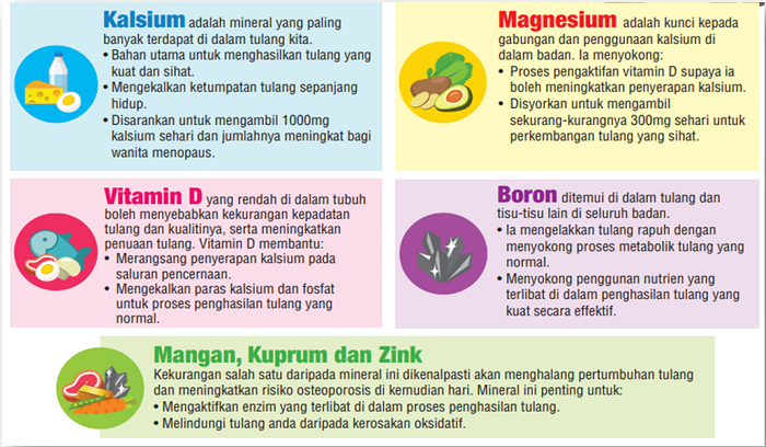keperluan tulang manusia